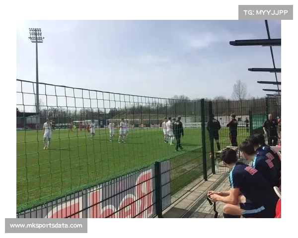 德国足协重构青训体系，借鉴红牛学院模式